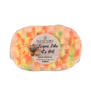 Soap Sponges