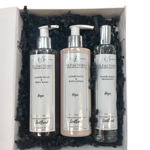 Hand Wash/Lotion & Room Fragrance GIFT BOX