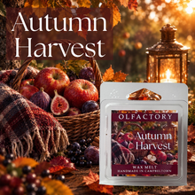 Load image into Gallery viewer, Autumn Harvest