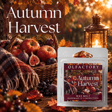 Load image into Gallery viewer, Autumn Harvest - OLFACTORY CANDLES