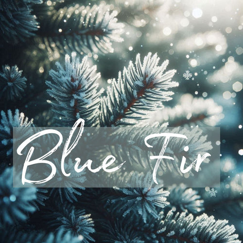 Blue Fir - OLFACTORY CANDLES