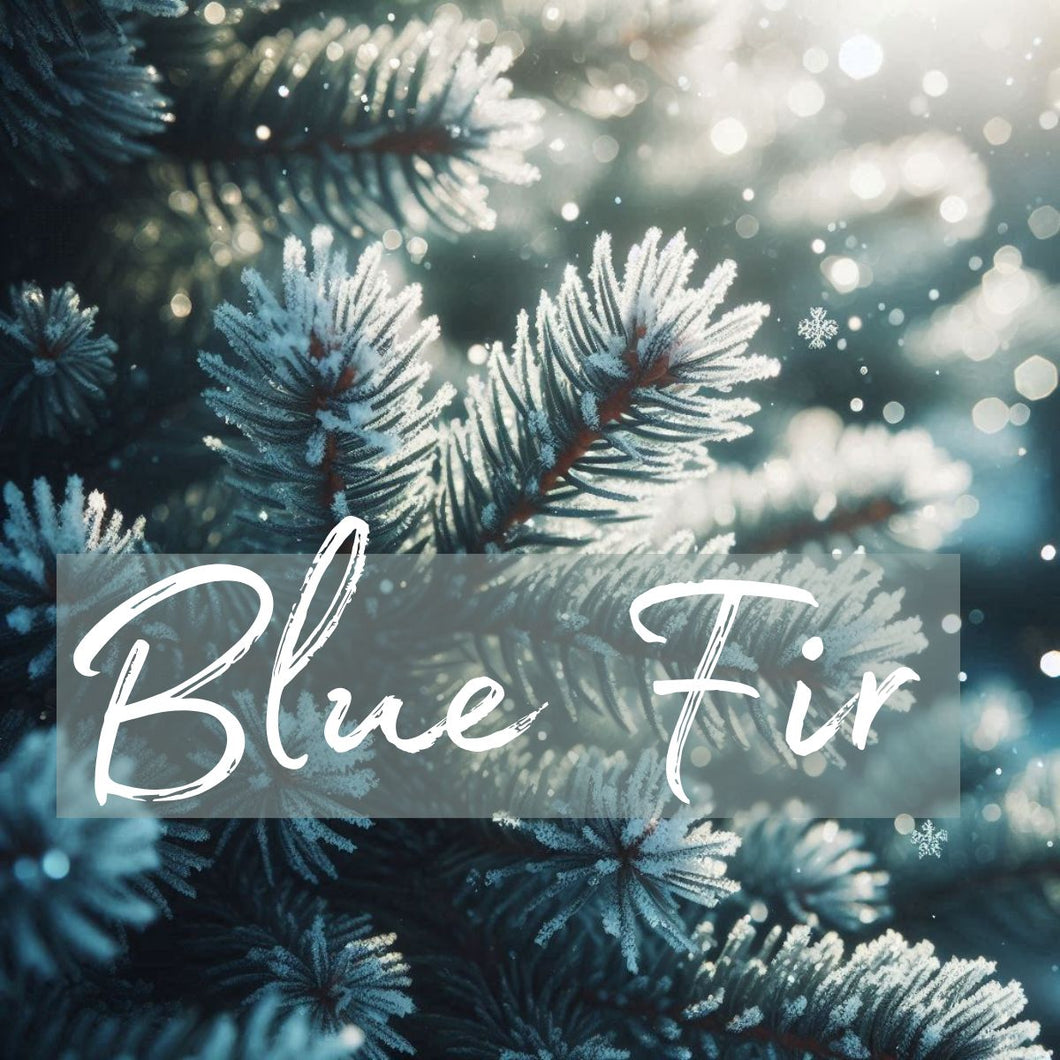 Blue Fir - OLFACTORY CANDLES