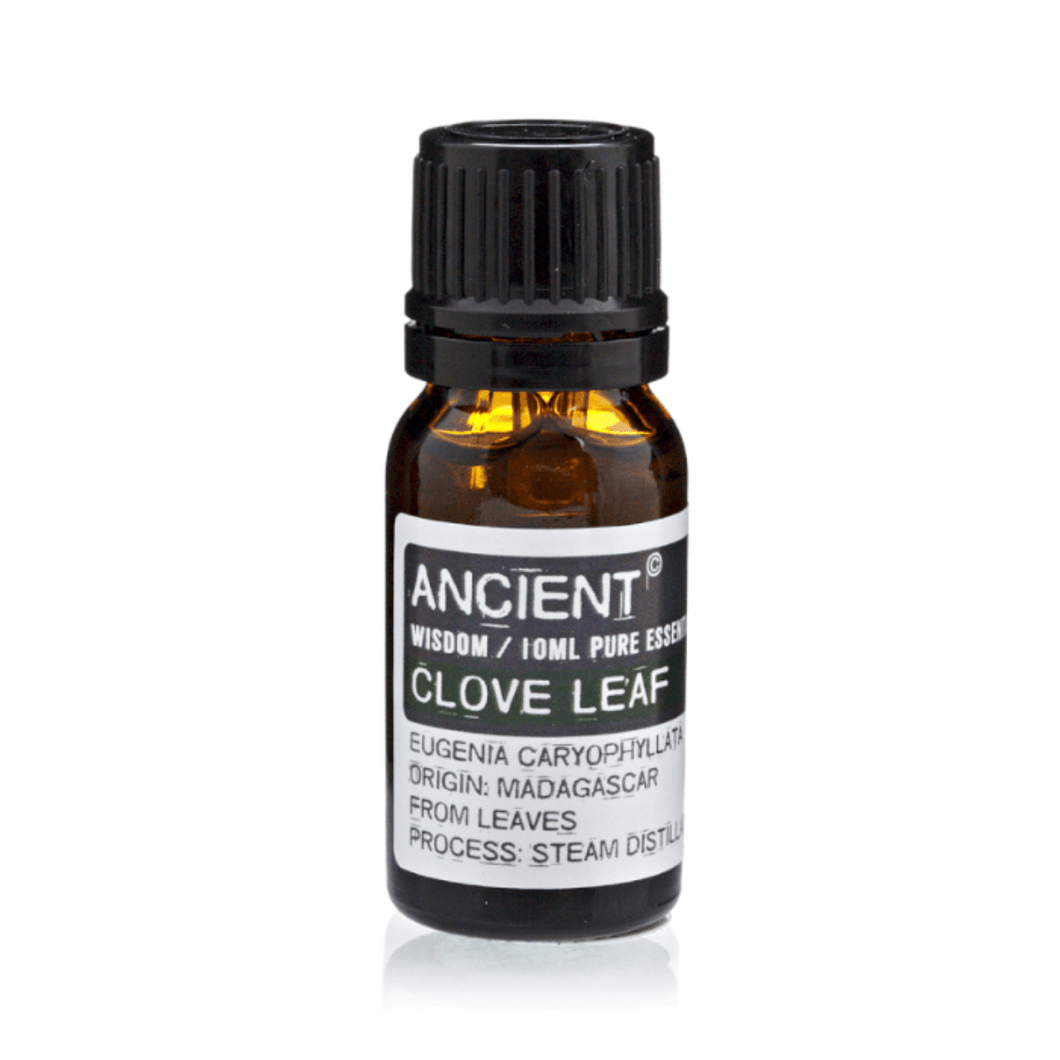 Essential Oil - Clove - Olfactory Candles