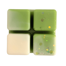 Load image into Gallery viewer, Fresh Out the Dryer - OLFACTORY CANDLES