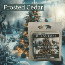 Load image into Gallery viewer, Frosted Cedar - OLFACTORY CANDLES