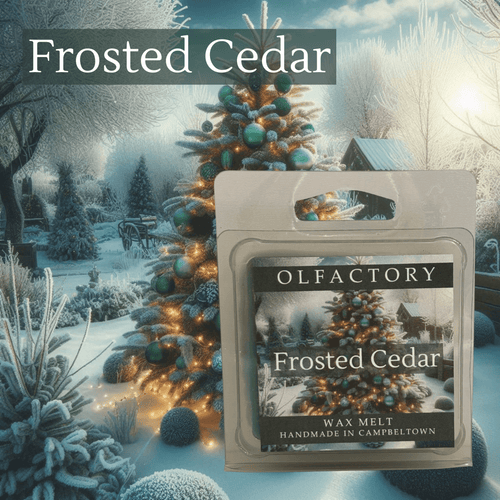 Frosted Cedar - OLFACTORY CANDLES