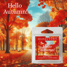 Load image into Gallery viewer, Hello Autumn - OLFACTORY CANDLES