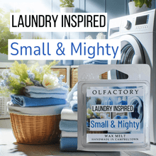Load image into Gallery viewer, LAUNDRY INSPIRED - Small &amp; Mighty - OLFACTORY CANDLES