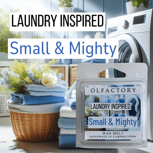 LAUNDRY INSPIRED - Small & Mighty - OLFACTORY CANDLES