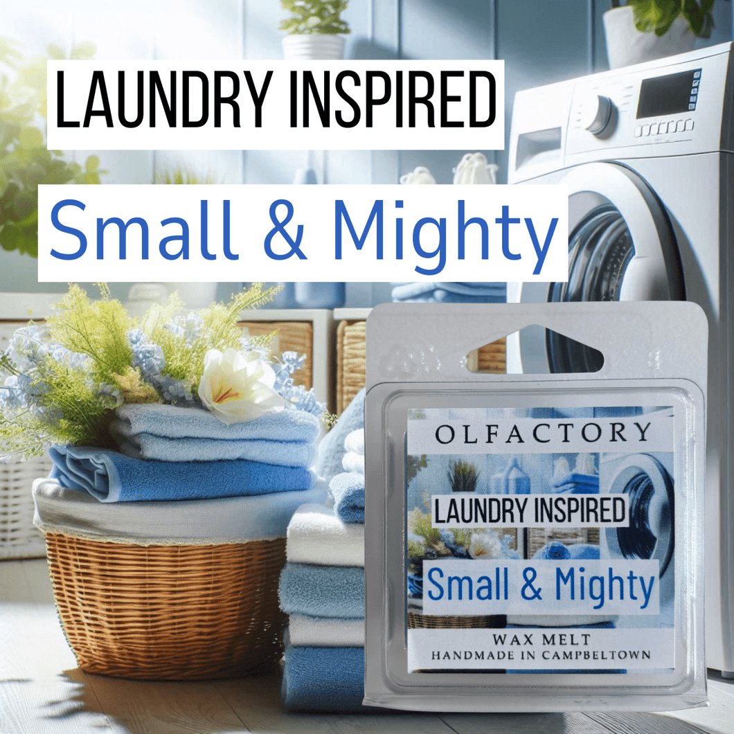 LAUNDRY INSPIRED - Small & Mighty - OLFACTORY CANDLES
