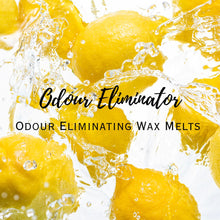 Load image into Gallery viewer, Odour Eliminator Wax Melts - Olfactory Candles