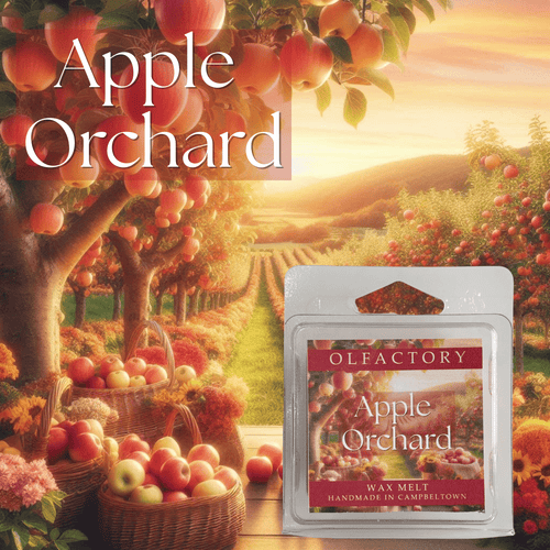 Scents of Autumn - Apple Orchard - OLFACTORY CANDLES