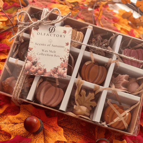 Scents of Autumn - Wax Melt Collection - OLFACTORY CANDLES