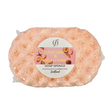 Load image into Gallery viewer, Soap Sponges - Olfactory Candles