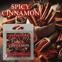 Load image into Gallery viewer, Spicy Cinnamon - OLFACTORY CANDLES