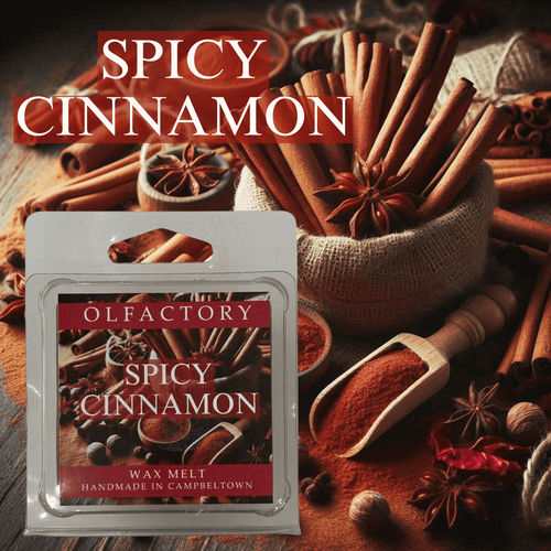 Spicy Cinnamon - OLFACTORY CANDLES