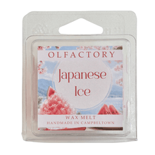 Load image into Gallery viewer, SUMMER MELTS - Japanese Ice - OLFACTORY CANDLES