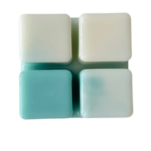 Load image into Gallery viewer, Take me to the Beach - OLFACTORY CANDLES