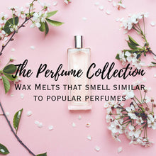 Load image into Gallery viewer, The Perfume Collection - Olfactory Candles