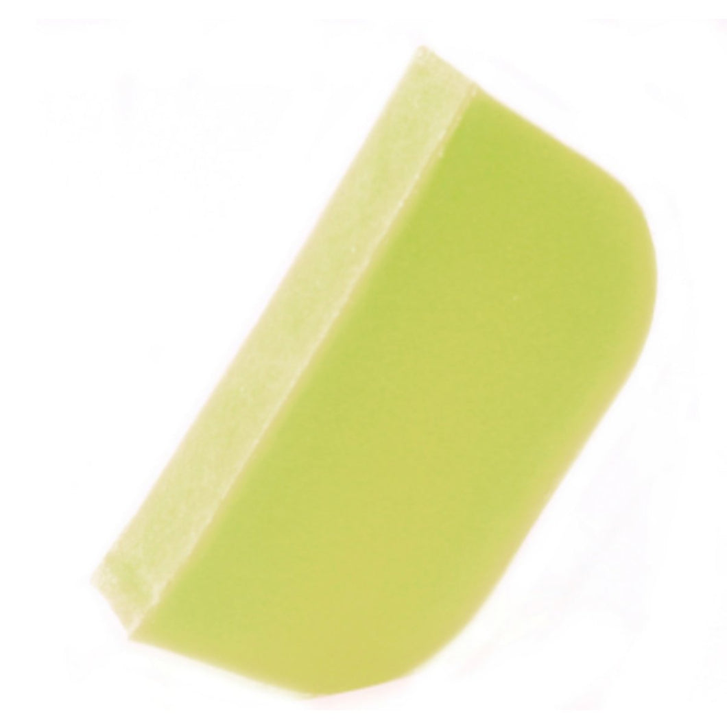 Handmade Argan Solid Shampoo Bar - Coconut & Lime - Olfactory Candles