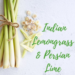 Indian Lemongrass & Persian Lime - Olfactory Candles