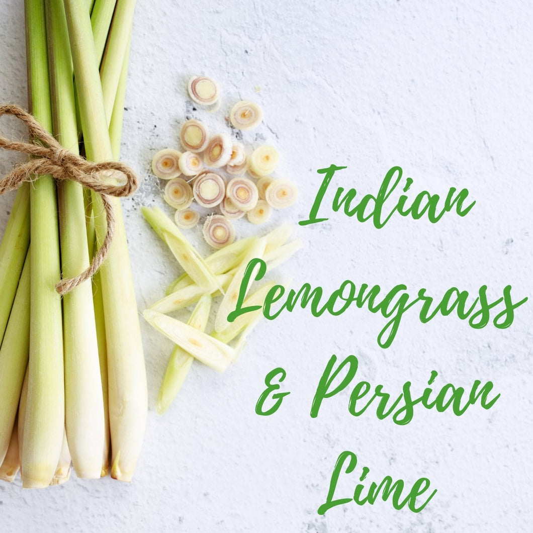 Indian Lemongrass & Persian Lime - Olfactory Candles