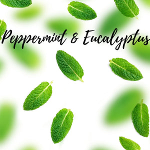 Peppermint & Eucalyptus - Olfactory Candles