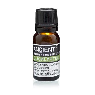 Pure Essential Oil - Eucalyptus - Olfactory Candles