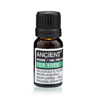Pure Essential Oil - Tea Tree - Olfactory Candles
