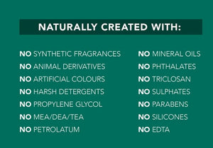 SUPER GREENS - Detoxifying Facial Masque - Olfactory Candles
