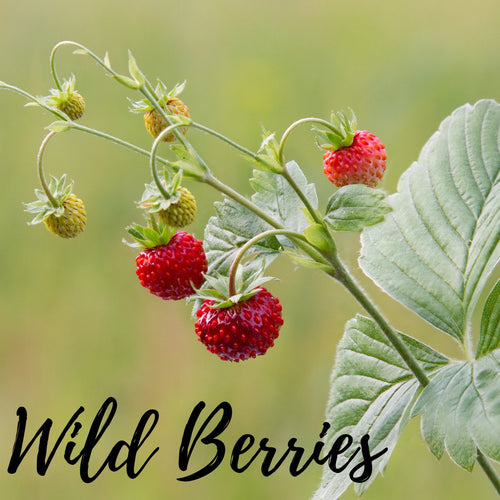 Wild Berries - Olfactory Candles